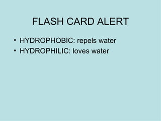 FLASH CARD ALERT HYDROPHOBIC: repels water HYDROPHILIC: loves water  