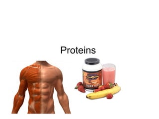 Proteins  