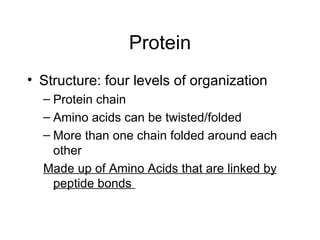 Protein Structure: four levels of organization Protein chain Amino acids can be twisted/folded More than one chain folded around each other Made up of Amino Acids that are linked by peptide bonds  