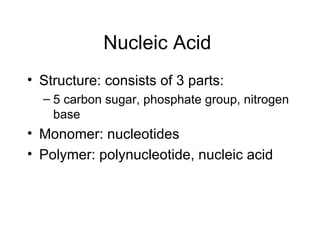 Nucleic Acid  Structure: consists of 3 parts:  5 carbon sugar, phosphate group, nitrogen base Monomer: nucleotides Polymer: polynucleotide, nucleic acid  