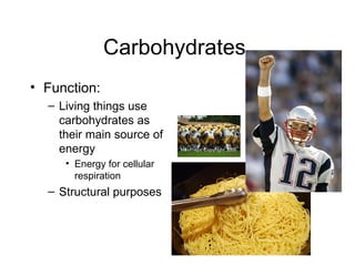 Carbohydrates  Function:  Living things use carbohydrates as their main source of energy  Energy for cellular respiration  Structural purposes  