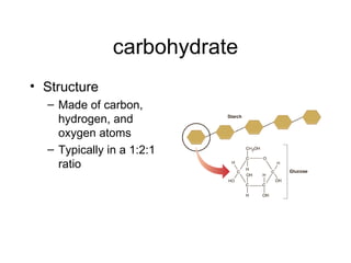 carbohydrate Structure Made of carbon, hydrogen, and oxygen atoms Typically in a 1:2:1 ratio  