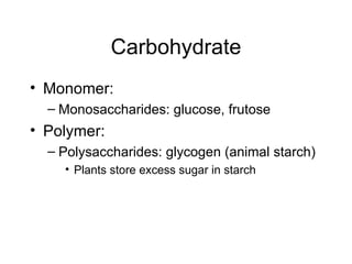 Carbohydrate Monomer:  Monosaccharides: glucose, frutose  Polymer:  Polysaccharides: glycogen (animal starch)  Plants store excess sugar in starch  