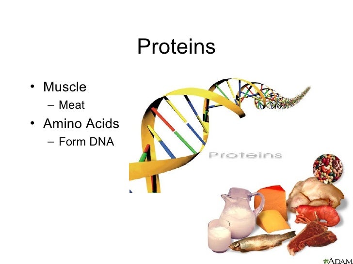 Macromolecule powerpoint
