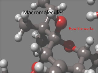 Macromolecules
How life works.
 