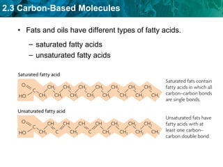 Fats and oils have different types of fatty acids.  saturated fatty acids unsaturated fatty acids 