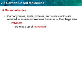 Macromolecules Carbohydrates, lipids, proteins, and nucleic acids are referred to as macromolecules because of their large size. Polymers   are made up of  monomers . 