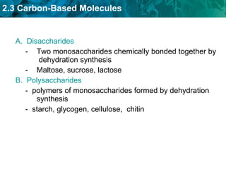 Disaccharides Two monosaccharides chemically bonded together by  dehydration synthesis Maltose, sucrose, lactose Polysaccharides -  polymers of monosaccharides formed by dehydration synthesis -  starch, glycogen, cellulose,  chitin 