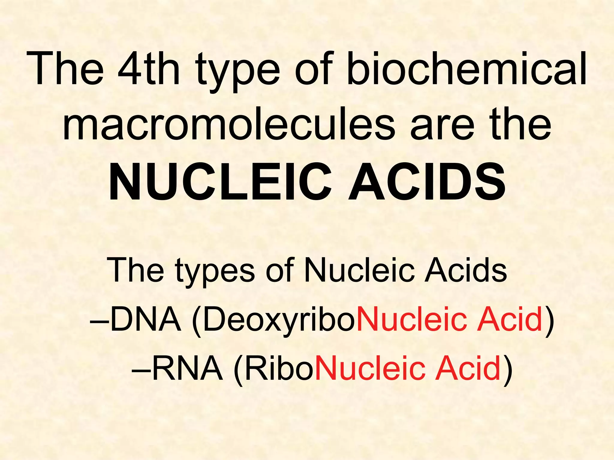 The 4th type of biochemical
 macromolecules are the
   NUCLEIC ACIDS
    The types of Nucleic Acids
   –DNA (DeoxyriboNucleic Acid)
     –RNA (RiboNucleic Acid)
 