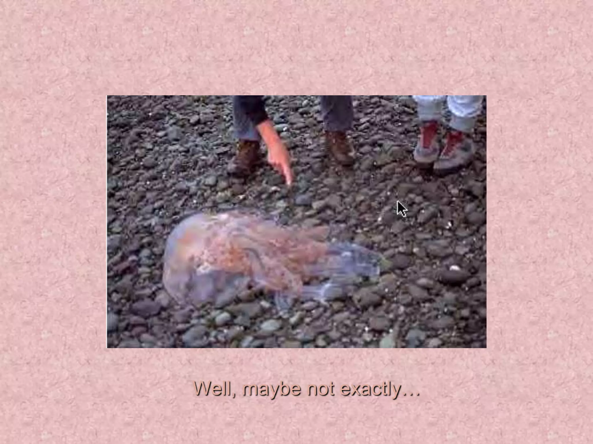 Well, maybe not exactly…
 