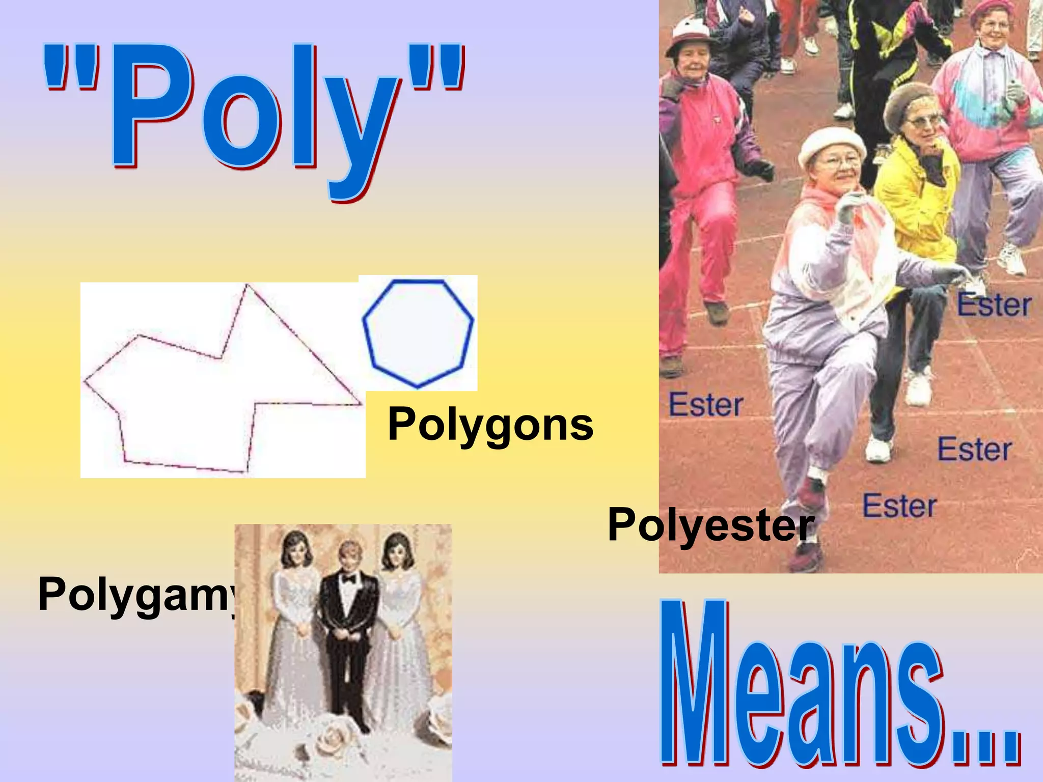 Polygons

                      Polyester
Polygamy
 