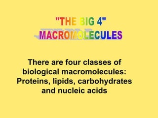 There are four classes of
 biological macromolecules:
Proteins, lipids, carbohydrates
       and nucleic acids
 