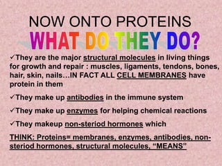 NOW ONTO PROTEINS

They are the major structural molecules in living things
for growth and repair : muscles, ligaments, tendons, bones,
hair, skin, nails…IN FACT ALL CELL MEMBRANES have
protein in them
They make up antibodies in the immune system
They make up enzymes for helping chemical reactions
They makeup non-steriod hormones which
THINK: Proteins= membranes, enzymes, antibodies, non-
steriod hormones, structural molecules, “MEANS”
 