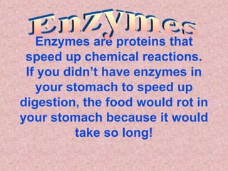Enzymes are proteins that
 speed up chemical reactions.
 If you didn’t have enzymes in
   your stomach to speed up
digestion, the food would rot in
your stomach because it would
          take so long!
 
