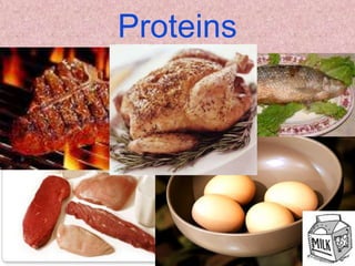 Proteins
 