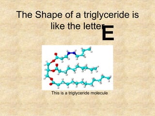 The Shape of a triglyceride is
       like the letter
                                   E

        This is a triglyceride molecule
 