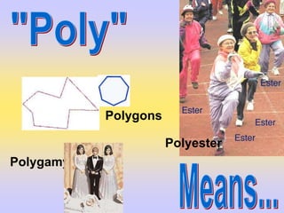 Polygons

                      Polyester
Polygamy
 