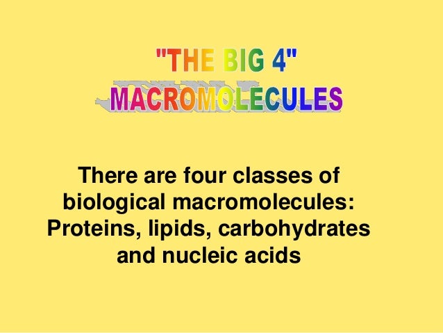 macromolecules 4 macromolecules