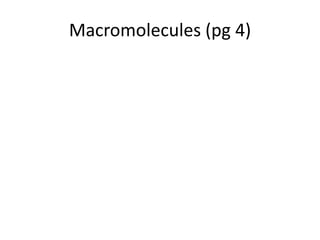 Macromolecules (pg 4)
 