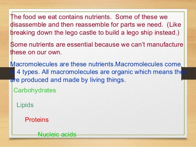 4 types of macromolecules