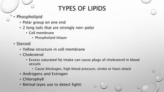 TYPES OF LIPIDS 
• Phospholipid 
• Polar group on one end 
• 2 long tails that are strongly non-polar 
• Cell membrane 
• Phospholipid bilayer 
• Steroid 
• Yellow structure in cell membrane 
• Cholesterol 
• Excess saturated fat intake can cause plugs of cholesterol in blood 
vessels 
• Cause blockages, high blood pressure, stroke or heart attack 
• Androgens and Estrogen 
• Chlorophyll 
• Retinal (eyes use to detect light) 
 