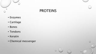 PROTEINS 
• Enzymes 
• Cartilage 
• Bones 
• Tendons 
• Keratin 
• Chemical messenger 
 