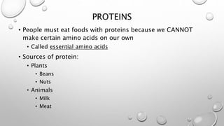 PROTEINS 
• People must eat foods with proteins because we CANNOT 
make certain amino acids on our own 
• Called essential amino acids 
• Sources of protein: 
• Plants 
• Beans 
• Nuts 
• Animals 
• Milk 
• Meat 
 