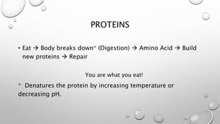 PROTEINS 
• Eat  Body breaks down* (Digestion)  Amino Acid  Build 
new proteins  Repair 
You are what you eat! 
* Denatures the protein by increasing temperature or 
decreasing pH. 
 