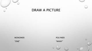 DRAW A PICTURE 
MONOMER POLYMER 
“ONE” “MANY” 
 