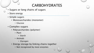 CARBOHYDRATES 
• Sugars or long chains of sugars 
• Store energy 
• Simple sugars 
• Monosaccharides (monomer) 
• Glucose 
• Complex sugars 
• Polysaccharides (polymer) 
• Plant 
• Starch 
• Animals 
• Glycogen 
• Energy storage by linking chains together 
• Not recognized by most enzymes 
 
