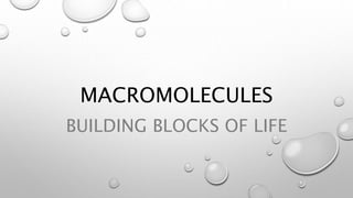 MACROMOLECULES 
BUILDING BLOCKS OF LIFE 
 