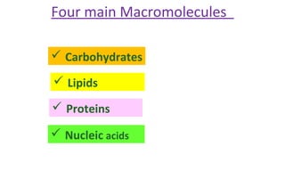 Four main Macromolecules
 Carbohydrates
 Lipids
 Proteins
 Nucleic acids
 