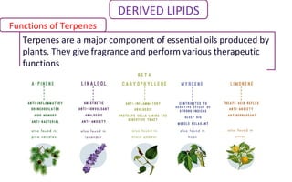 Functions of Terpenes
Terpenes are a major component of essential oils produced by
plants. They give fragrance and perform various therapeutic
functions
DERIVED LIPIDS
 