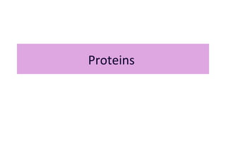 Proteins
 