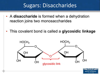 adapted ppt macromolecules physical science.pptx