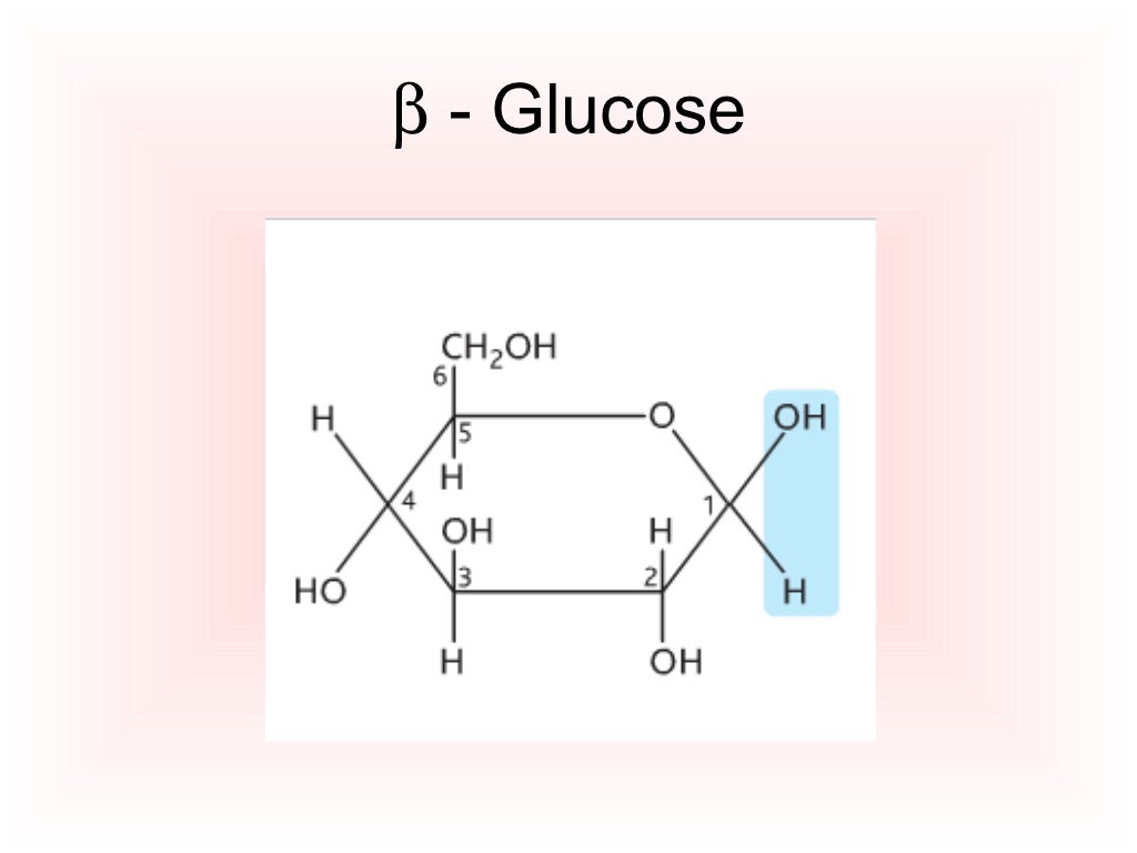 Macromolecules carbohydrates