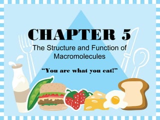 CHAPTER 5
The Structure and Function of
      Macromolecules
  “You are what you eat!”
 