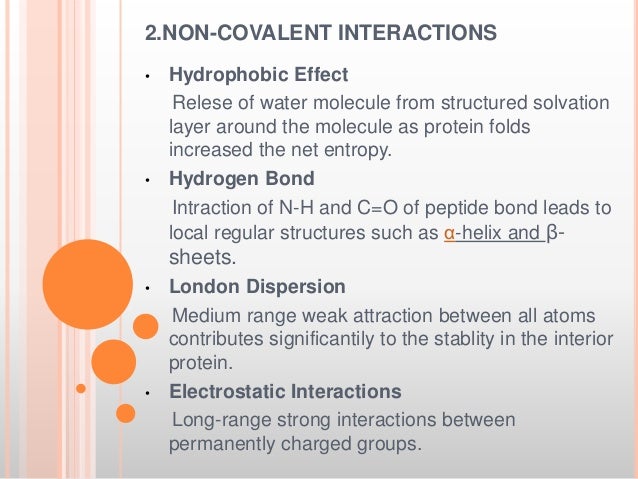hydrogen bonding examples