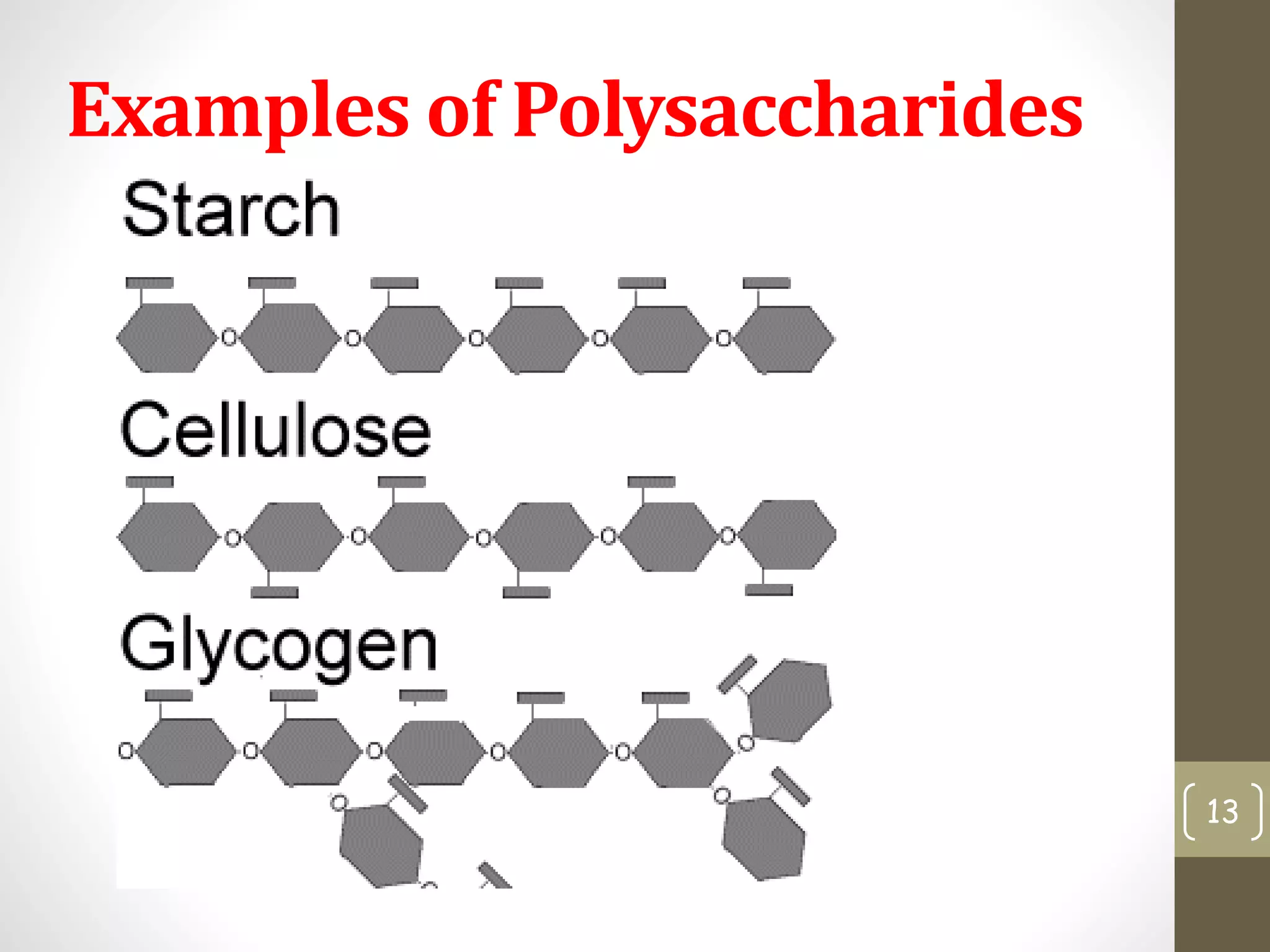 Examples of Polysaccharides 
13 
 