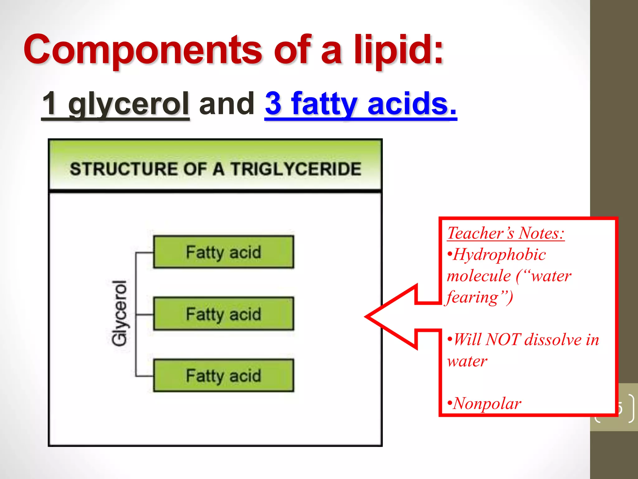 Components of a lipid: 
1 glycerol and 3 fatty acids. 
15 
Teacher’s Notes: 
•Hydrophobic 
molecule (“water 
fearing”) 
•Will NOT dissolve in 
water 
•Nonpolar 
 