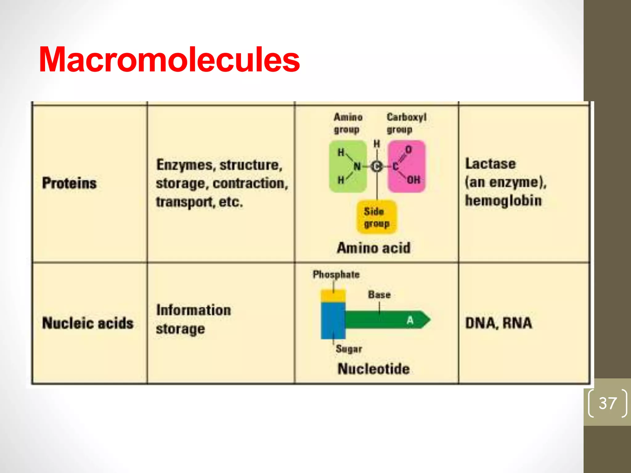 Macromolecules 
37 
 