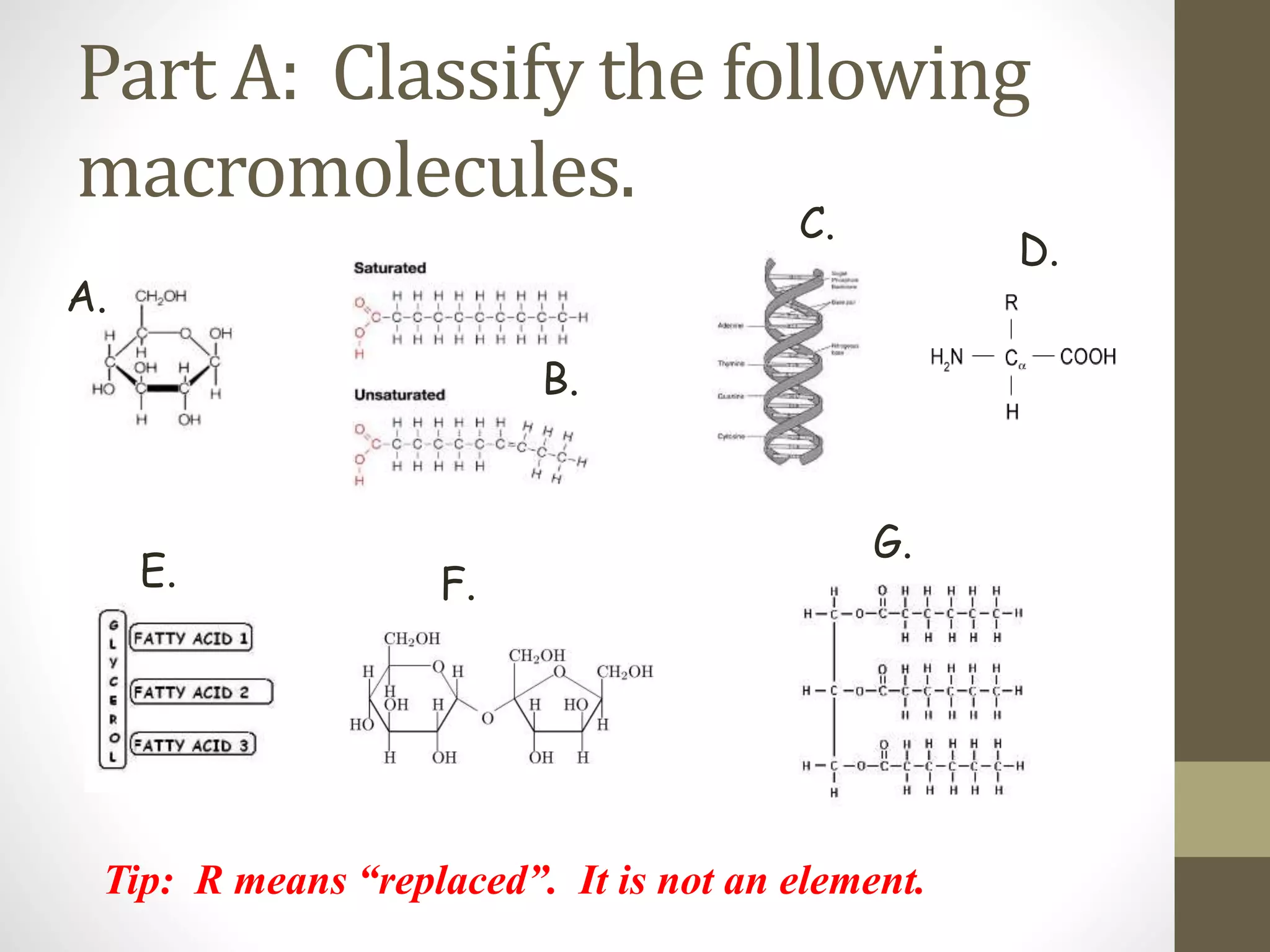Part A: Classify the following 
macromolecules. 
A. 
B. 
C. 
D. 
E. F. 
G. 
Tip: R means “replaced”. It is not an element. 
 