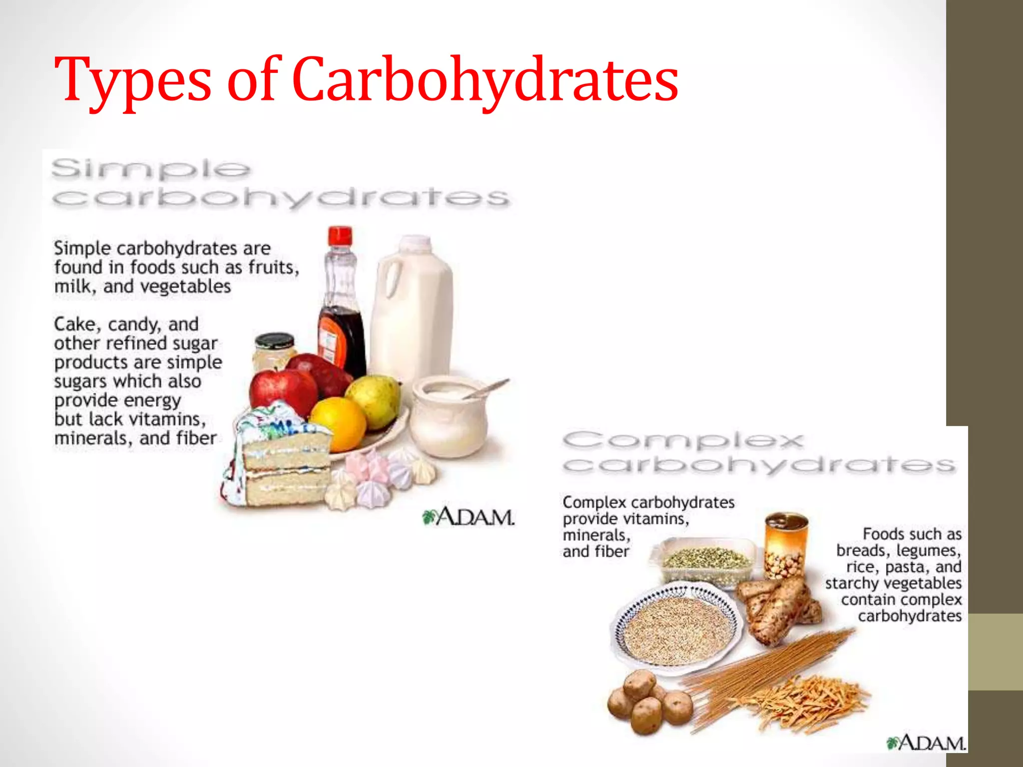 Types of Carbohydrates 
 