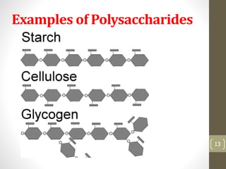 Examples of Polysaccharides 
13 
 