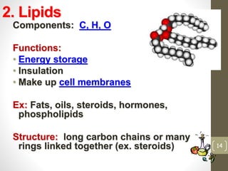 2. Lipids 
Components: C, H, O 
Functions: 
• Energy storage 
• Insulation 
• Make up cell membranes 
Ex: Fats, oils, steroids, hormones, 
phospholipids 
Structure: long carbon chains or many 
rings linked together (ex. steroids) 14 
 
