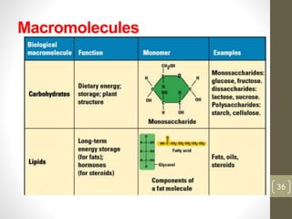 Macromolecules 
36 
 
