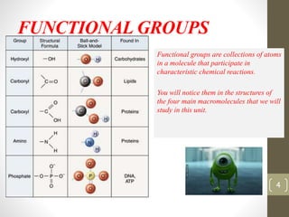 FUNCTIONAL GROUPS 
Functional groups are collections of atoms 
in a molecule that participate in 
characteristic chemical reactions. 
You will notice them in the structures of 
the four main macromolecules that we will 
study in this unit. 
4 
 