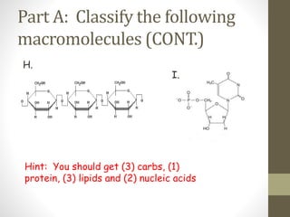 Part A: Classify the following 
macromolecules (CONT.) 
H. 
I. 
Hint: You should get (3) carbs, (1) 
protein, (3) lipids and (2) nucleic acids 
 
