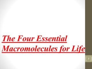 The Four Essential 
Macromolecules for Life 
7 
 