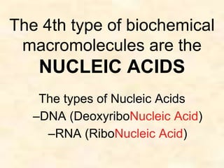 The 4th type of biochemical 
macromolecules are the 
NUCLEIC ACIDS 
The types of Nucleic Acids 
–DNA (DeoxyriboNucleic Acid) 
–RNA (RiboNucleic Acid) 
 